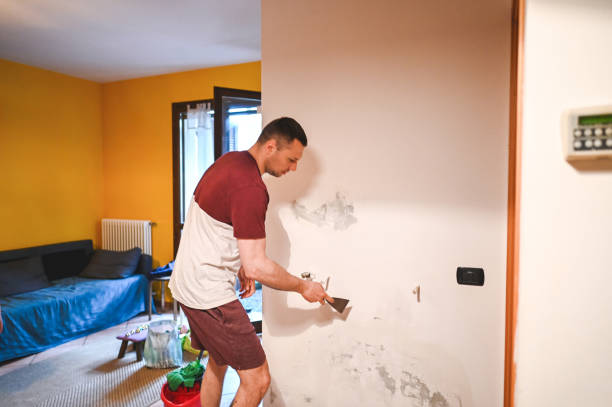 Professional Mold Removal in Roscommon, MI